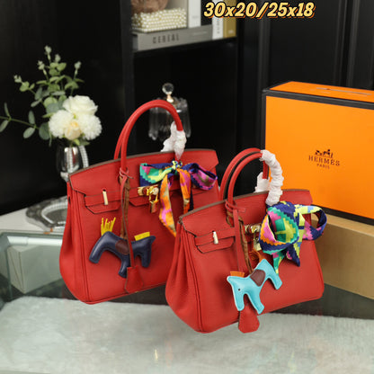 HMS Birkin platinum handbag 0724090201