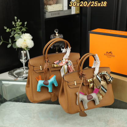 HMS Birkin platinum handbag 0724090201