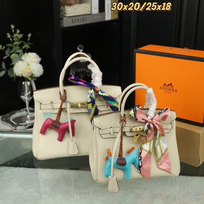 HMS Birkin platinum handbag 0724090201