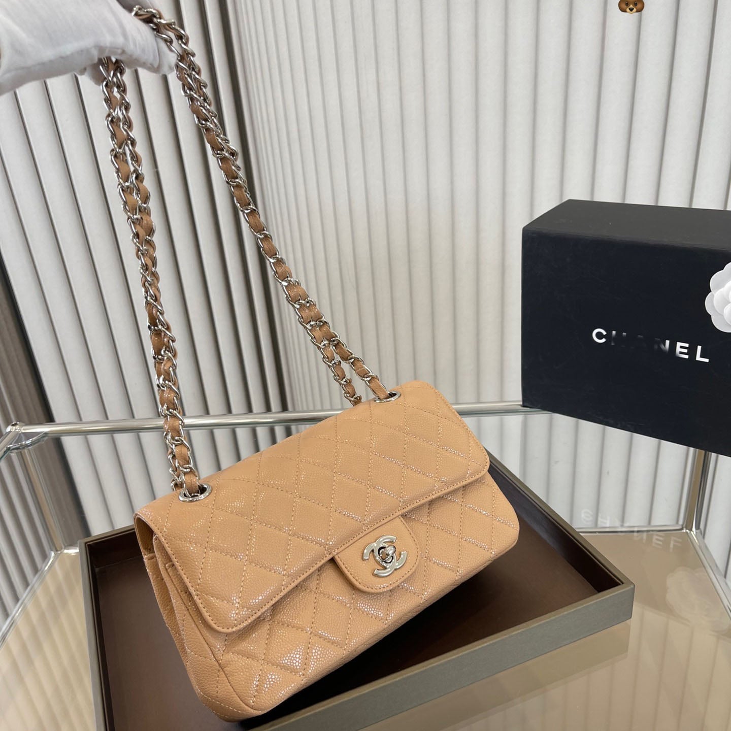 Six Color Classic Flap Chain Bag WLFBG23021716